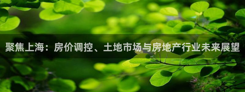 香港和记卡官网：聚焦上海：房价调控、土地市场与房地产行业未来