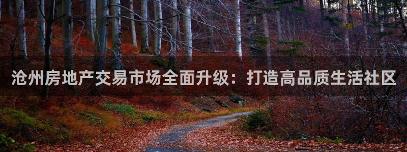 和生记官网：沧州房地产交易市场全面升级：打造高品质生活社区