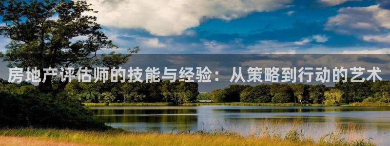 h88和记官网：房地产评估师的技能与经验：从策略到行动的艺术