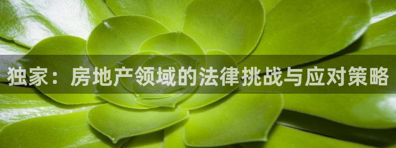 和记手游官网：独家：房地产领域的法律挑战与应对策略