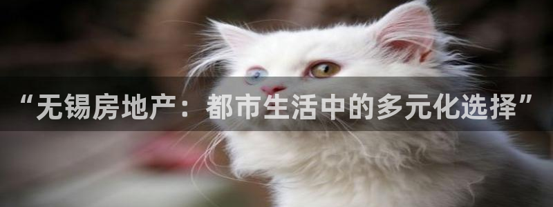 香港和记3hk官网：“无锡房地产：都市生活中的多元化选择”