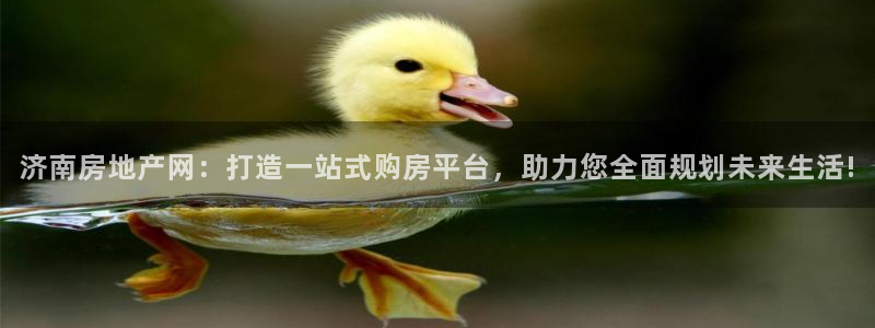 上海和记黄埔官网：济南房地产网：打造一站式购房平台，助力您全