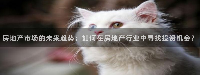 和记电讯app官网：房地产市场的未来趋势：如何在房地产行业中