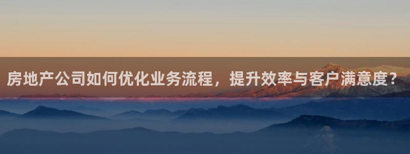 和记官网注册：房地产公司如何优化业务流程，提升效率与客户满意