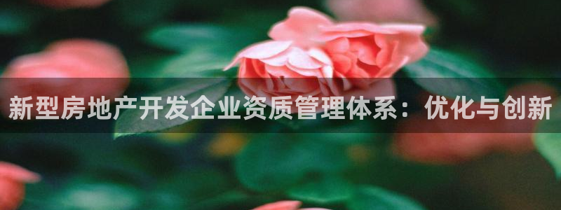 和记娱乐h8官网：新型房地产开发企业资质管理体系：优化与创新