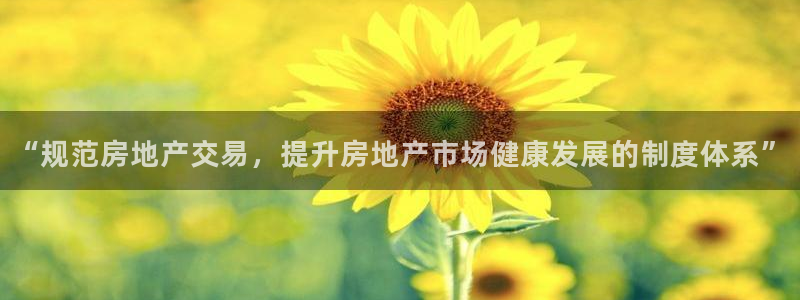3和记官网：“规范房地产交易，提升房地产市场健康发展的制度体