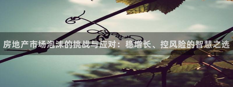 和记3官网：房地产市场泡沫的挑战与应对：稳增长、控风险的智慧