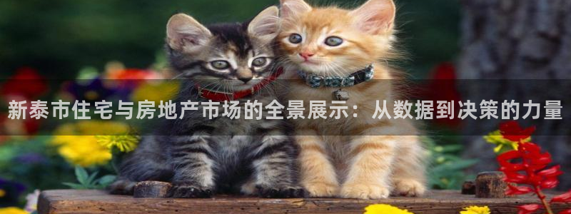 和记手机客户端官网：新泰市住宅与房地产市场的全景展示：从数据