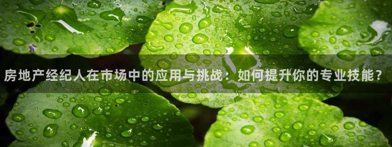 和记官网登陆：房地产经纪人在市场中的应用与挑战：如何提升你的