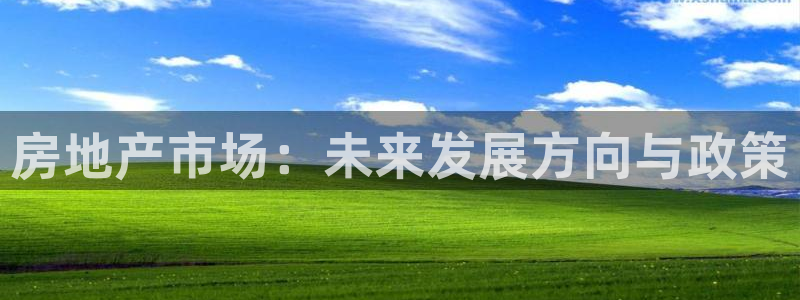 和记国际平台官网：房地产市场：未来发展方向与政策