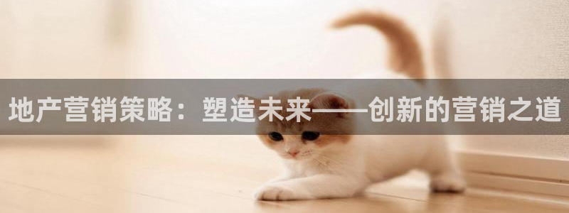 和记官网平台：地产营销策略：塑造未来——创新的营销之道