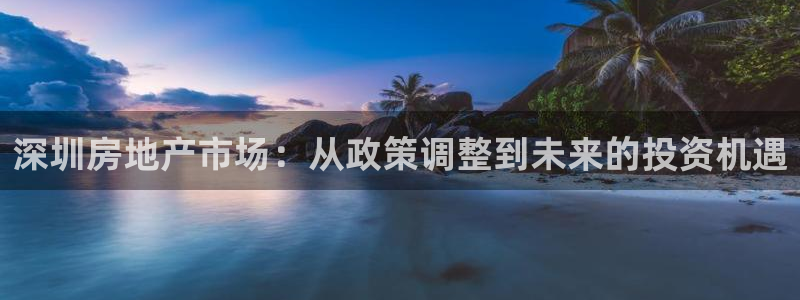 香港和记电信官网：深圳房地产市场：从政策调整到未来的投资机遇