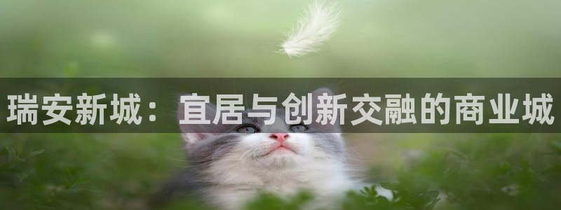 桃源记九游和官网：瑞安新城：宜居与创新交融的商业城