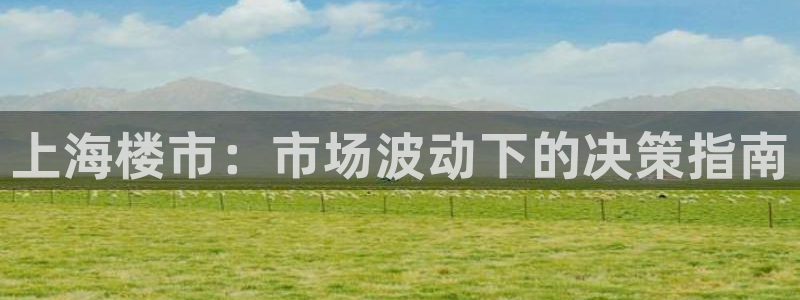 和记火爆官网：上海楼市：市场波动下的决策指南