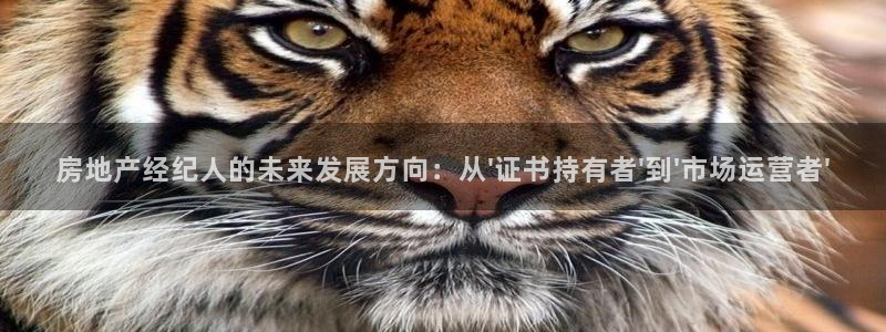 和记娱永久h88285官网：房地产经纪人的未来发展方向：从\