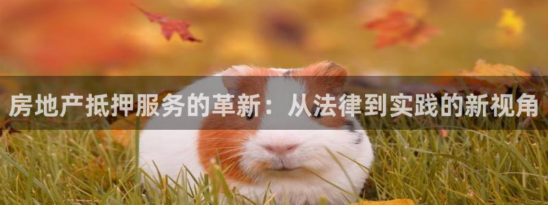 和记官网进入：房地产抵押服务的革新：从法律到实践的新视角