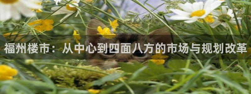和记3国际万能卡官网：福州楼市：从中心到四面八方的市场与规划