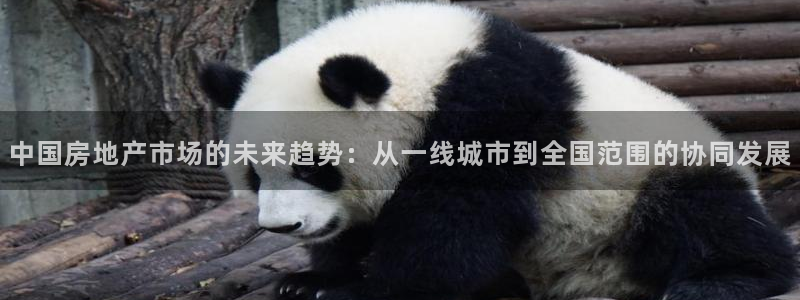 和记h188官网：中国房地产市场的未来趋势：从一线城市到全国