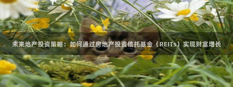 和记官网充值：未来地产投资策略：如何通过房地产投资信托基金（