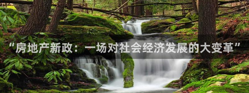 和记电讯官网0机构：“房地产新政：一场对社会经济发展的大变革