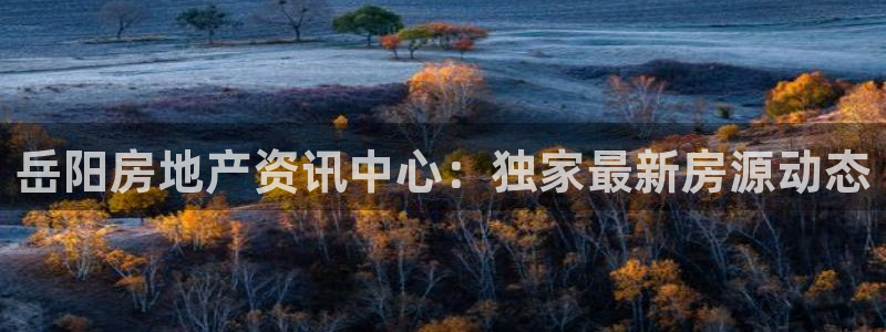 上海和记官网：岳阳房地产资讯中心：独家最新房源动态