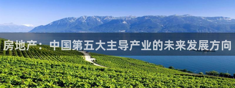 和记娱乐 怡情搏娱官网：房地产：中国第五大主导产业的未来发展