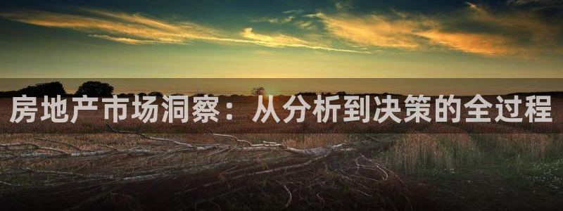 和记国际官网官网：房地产市场洞察：从分析到决策的全过程