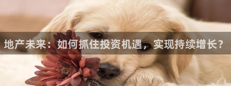 和记登录官网：地产未来：如何抓住投资机遇，实现持续增长？