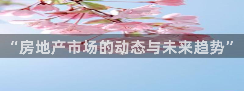 和木记官网：“房地产市场的动态与未来趋势”