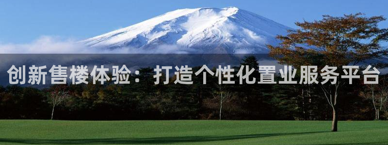 和记官网app：创新售楼体验：打造个性化置业服务平台