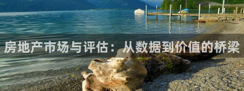 官网和记通讯：房地产市场与评估：从数据到价值的桥梁