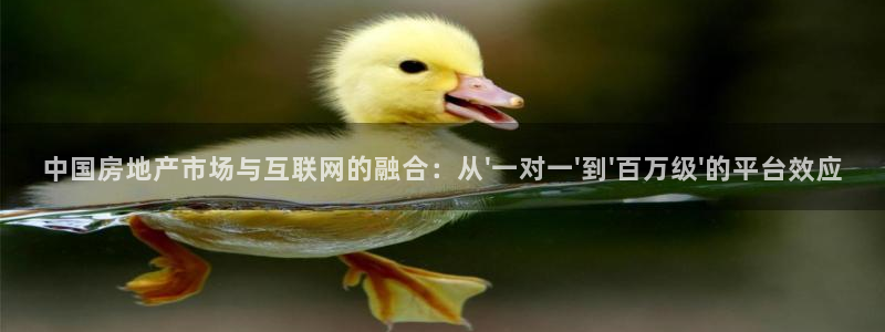 菲律宾和记官网：中国房地产市场与互联网的融合：从\'一对一\