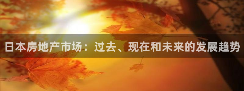 和帆记加盟官网：日本房地产市场：过去、现在和未来的发展趋势