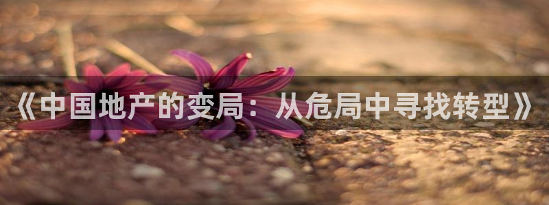 和记官网怡情娱乐：《中国地产的变局：从危局中寻找转型》