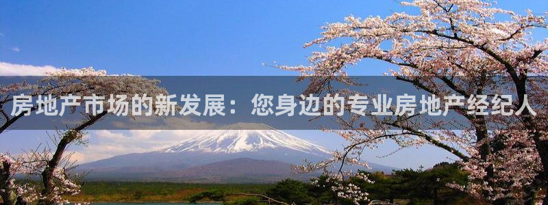 长江和记官网：房地产市场的新发展：您身边的专业房地产经纪人
