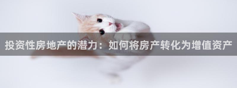 和记怡情h88官网中文版：投资性房地产的潜力：如何将房产转化