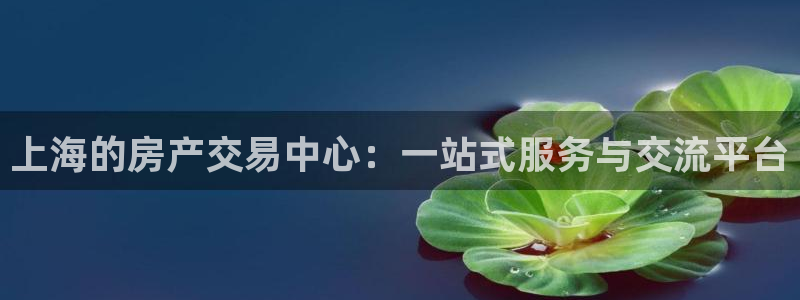 和记安徽快3官网开户：上海的房产交易中心：一站式服务与交流平