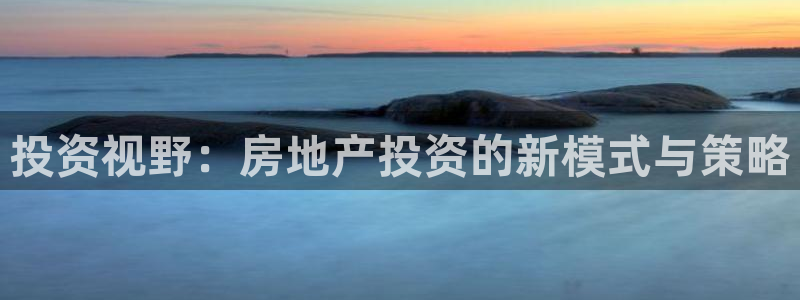 和记黄埔 官网：投资视野：房地产投资的新模式与策略