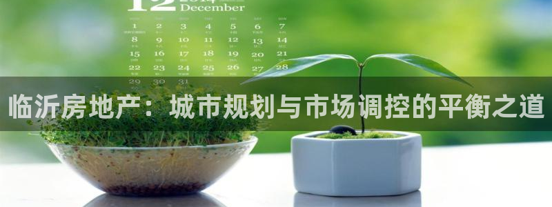 和记登录官网：临沂房地产：城市规划与市场调控的平衡之道
