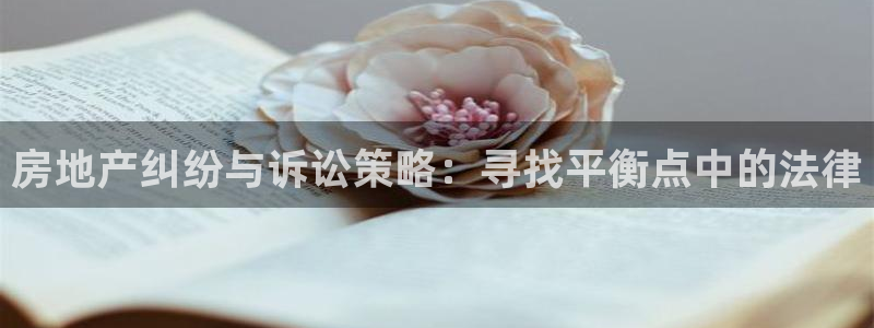 和记官网地址：房地产纠纷与诉讼策略：寻找平衡点中的法律