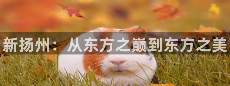 香港和记黄埔官网：新扬州：从东方之巅到东方之美