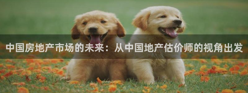 和记官网平台：中国房地产市场的未来：从中国地产估价师的视角出