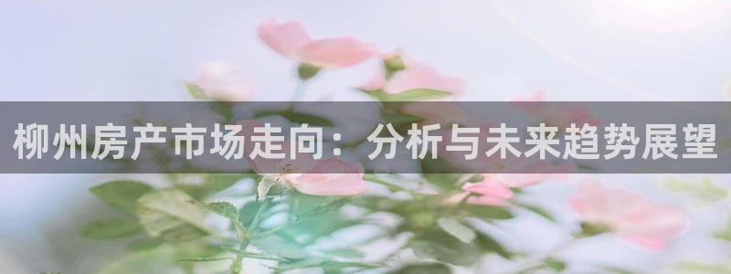 和记娱要多少钱h88285官网：柳州房产市场走向：分析与未来