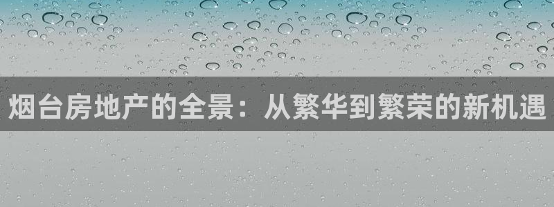 和记app官方官网登录：烟台房地产的全景：从繁华到繁荣的新机