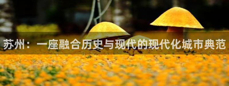 和记电讯官网：苏州：一座融合历史与现代的现代化城市典范