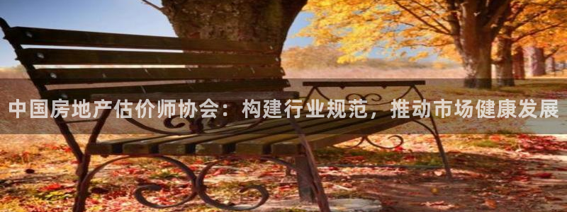 和记官网 公司：中国房地产估价师协会：构建行业规范，推动市场