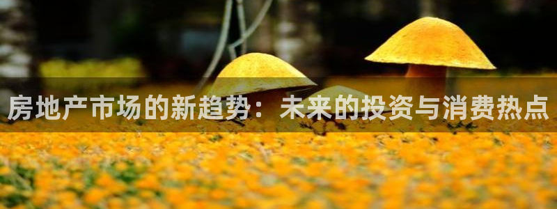 和记官网亚洲唯一官网：房地产市场的新趋势：未来的投资与消费热