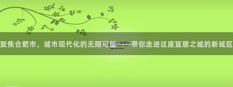印尼和记官网：聚焦合肥市，城市现代化的无限可能——带你走进这