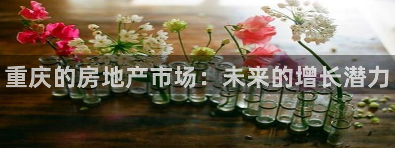 和记中国官网：重庆的房地产市场：未来的增长潜力