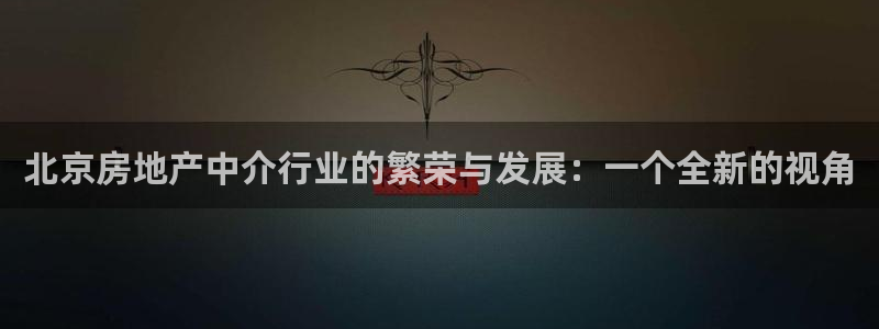 香港和记隆官网：北京房地产中介行业的繁荣与发展：一个全新的视